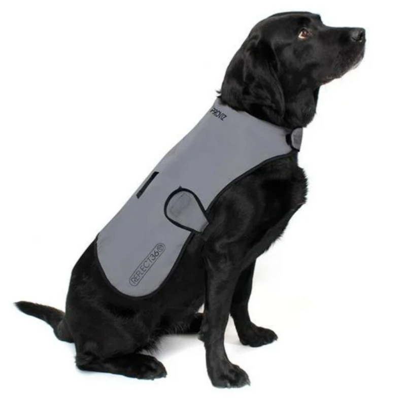 DOG COAT SR veste réflechissante et imperméable pour Chien taille S