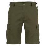 ELITE Short - Vert - 36