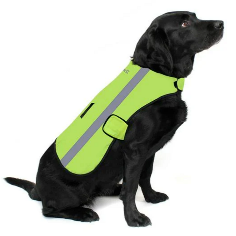 DOG COAT VISIO L veste Chien étanche bandes réflechissantes taille L - Jaune